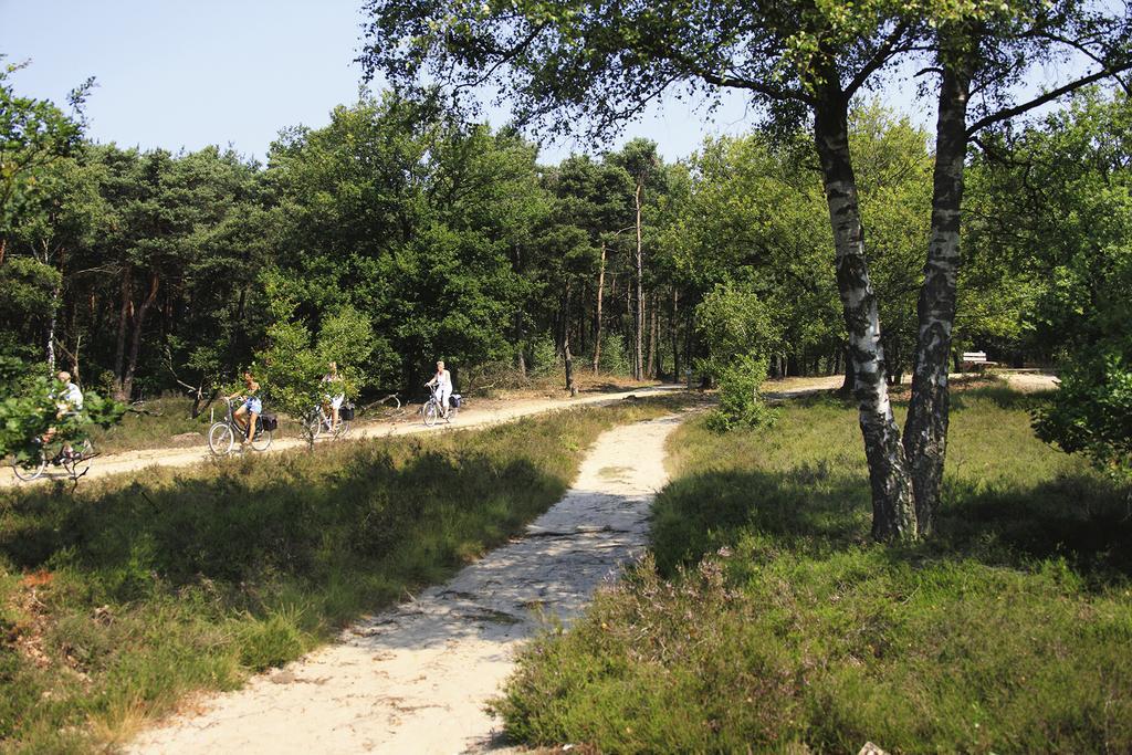 De Lindenberg Holten Exterior foto